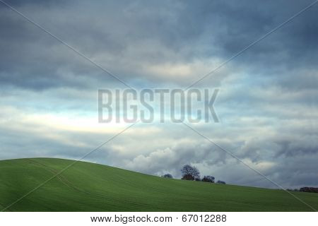 Nature