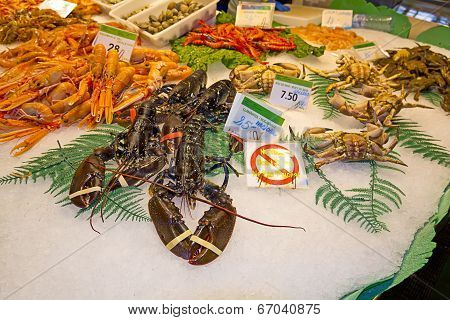 Variety of fresh fish in the market
