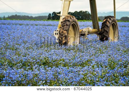 Sprinkler Wheels In A Field