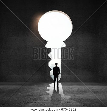 Businessman Looking An Big Key
