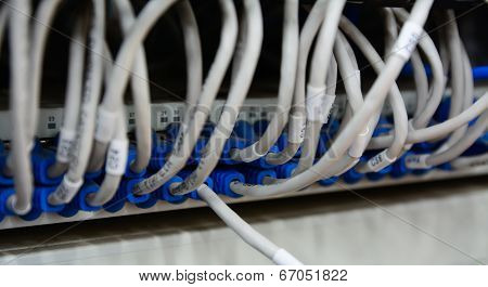Ethernet Cables Connected To Computer  Internet Server