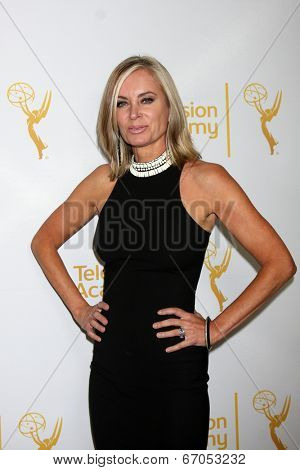 LOS ANGELES - JUN 19:  Eileen Davidson at the ATAS Daytime Emmy Nominees Reception at the London Hotel on June 19, 2014 in West Hollywood, CA