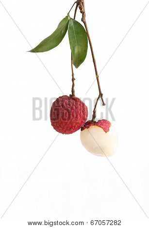 Lychee Fruit
