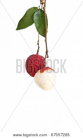 Lychee Fruit