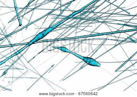Fibers