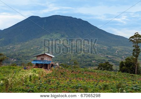 Mount Singgalang