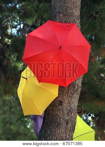 Umbrellas