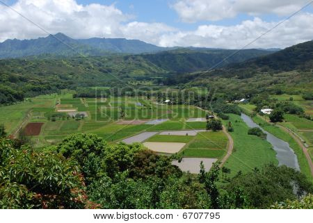 Hanalei วัลเล่ย์ เกาะ