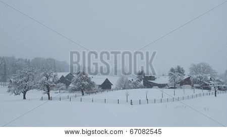 Winter Day