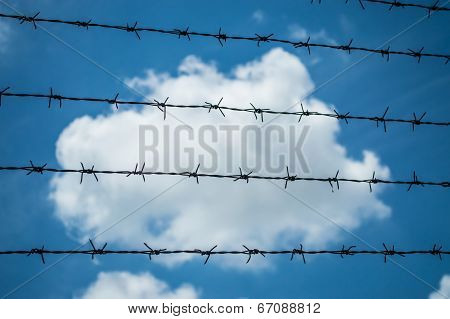 Barbed Wire
