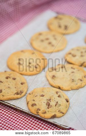 Beautiful Fresh Hand Made Chocolate Chip Cookies