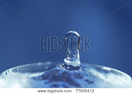 Splash