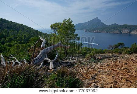 Dragonera view