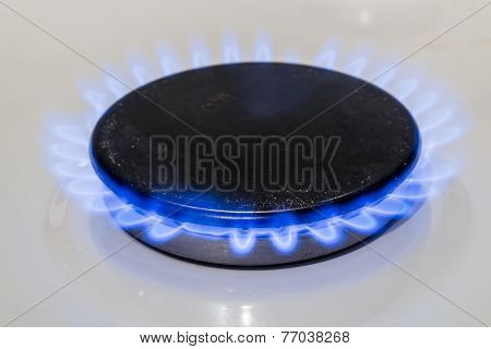 Fire Burning Gas Burner Household Gas Ovens