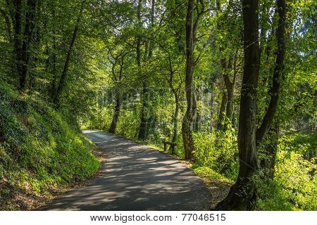 Walking In The Green