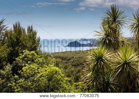 Landscape From Russell Near Paihia, Bay Of Islands, New Zealand