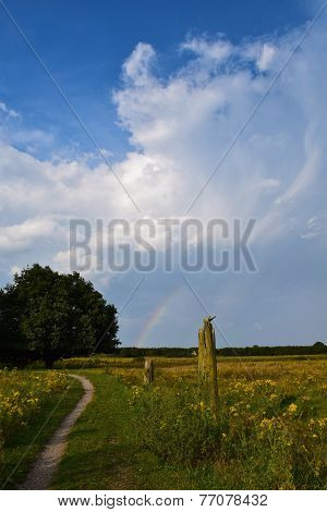 Landscape