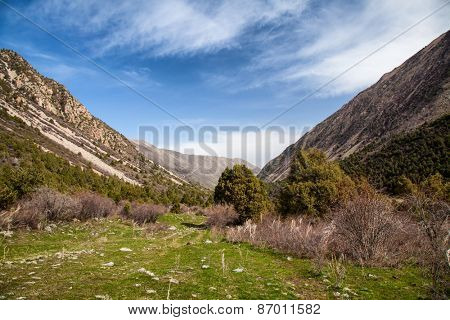 Landcscape hight mountains. Landscape in the fields.