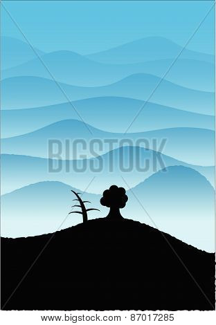 Hills