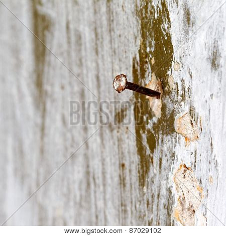 Creative Rusty Iron Nail Hammered Into The Old Vintage Wall. Selective Focus On The Nail Head.