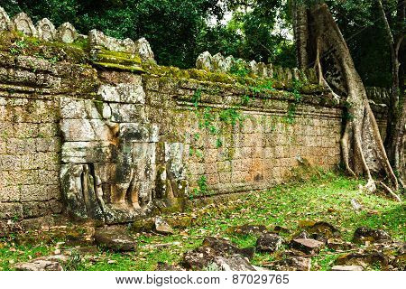 Preah Khan Temple, Angkor Area, Siem Reap, Cambodia