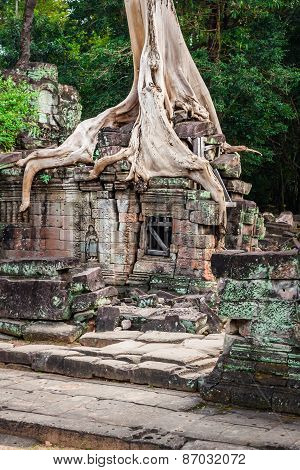 Preah Khan Temple, Angkor Area, Siem Reap, Cambodia