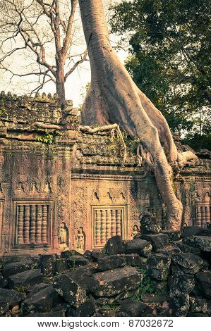 Preah Khan Temple, Angkor Area, Siem Reap, Cambodia