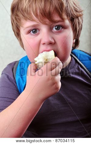 Portrait Of Schoolboy Eating Apple