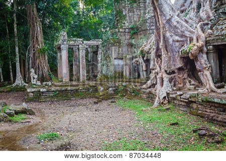 Tree Root Overgrowing Parts Of Ancient Preah Khan Temple At Angkor Wat Area In Cambodia