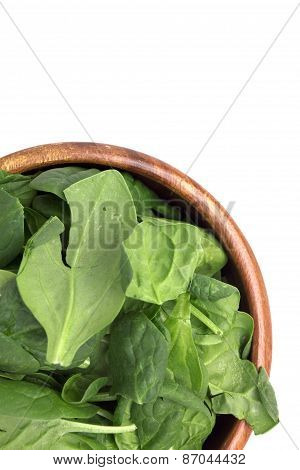 Green Spinach Leave