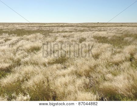 Makgadikgadi Pan