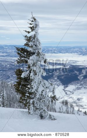 Colorado