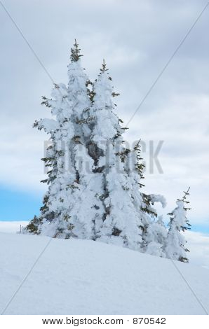 Colorado