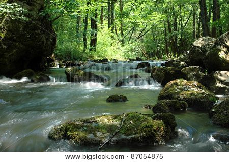 Mystic River Landscape
