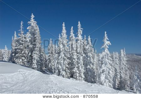 Colorado