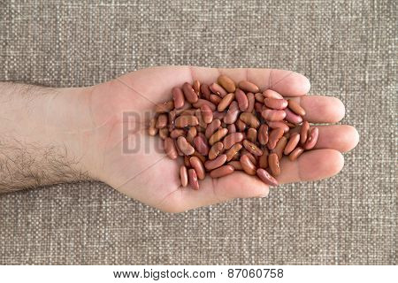 Man Displaying A Handful Of Red Kidney Beans
