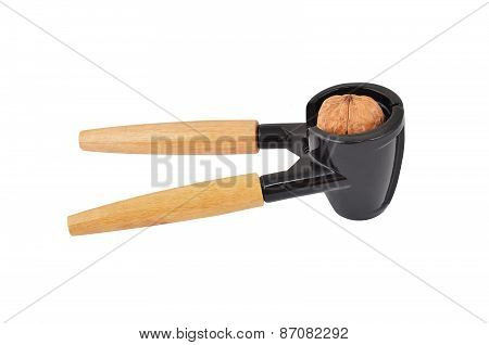 Nutcracker and nut