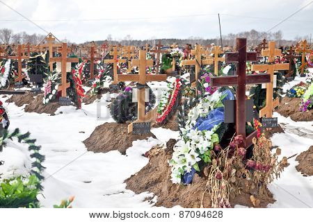 City Of Dead