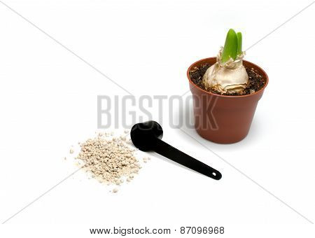 Gardening Still Life
