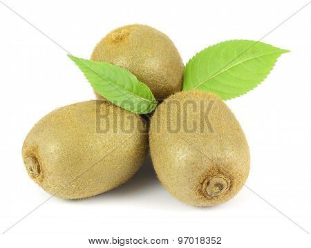 Whole kiwi fruits isolated on white background