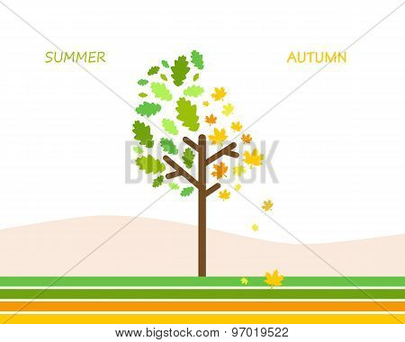 Tree on a white background color changes of the leaves. Vector illustration