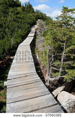 Wooden Bridge On Trail In Karkonosze Mountains