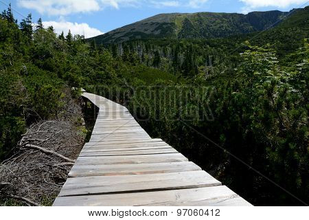 Wooden Bridge On Trail In Karkonosze Mountains
