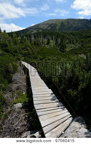 Wooden Bridge On Trail In Karkonosze Mountains