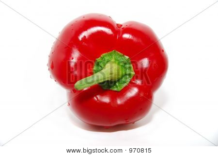 Červená paprika