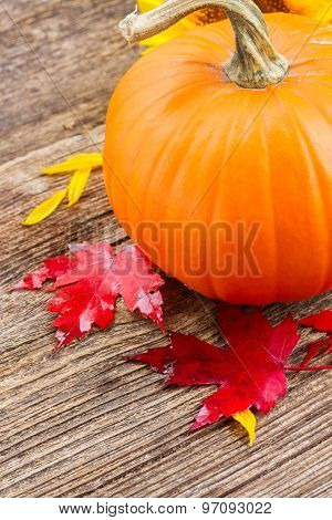 pumpkin on table