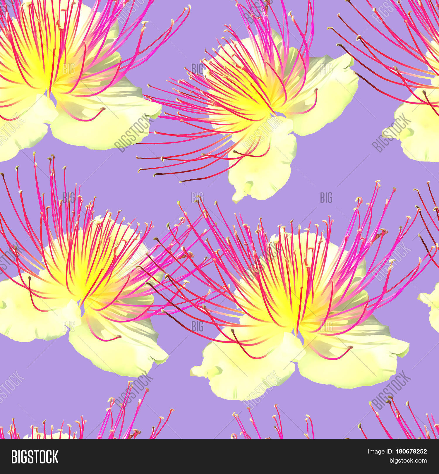 Capers. Texture Image & Photo (Free Trial) Bigstock