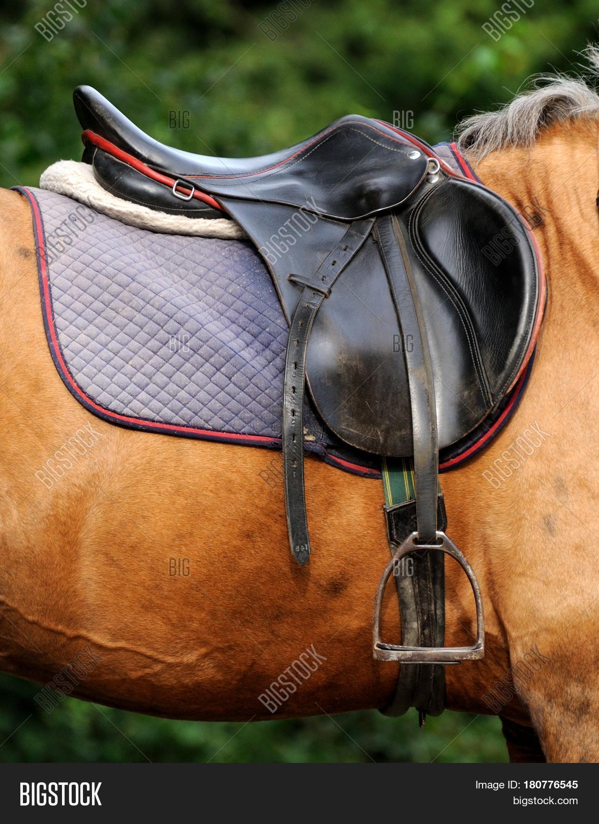 Horse Saddle Photography at Mae Burley blog