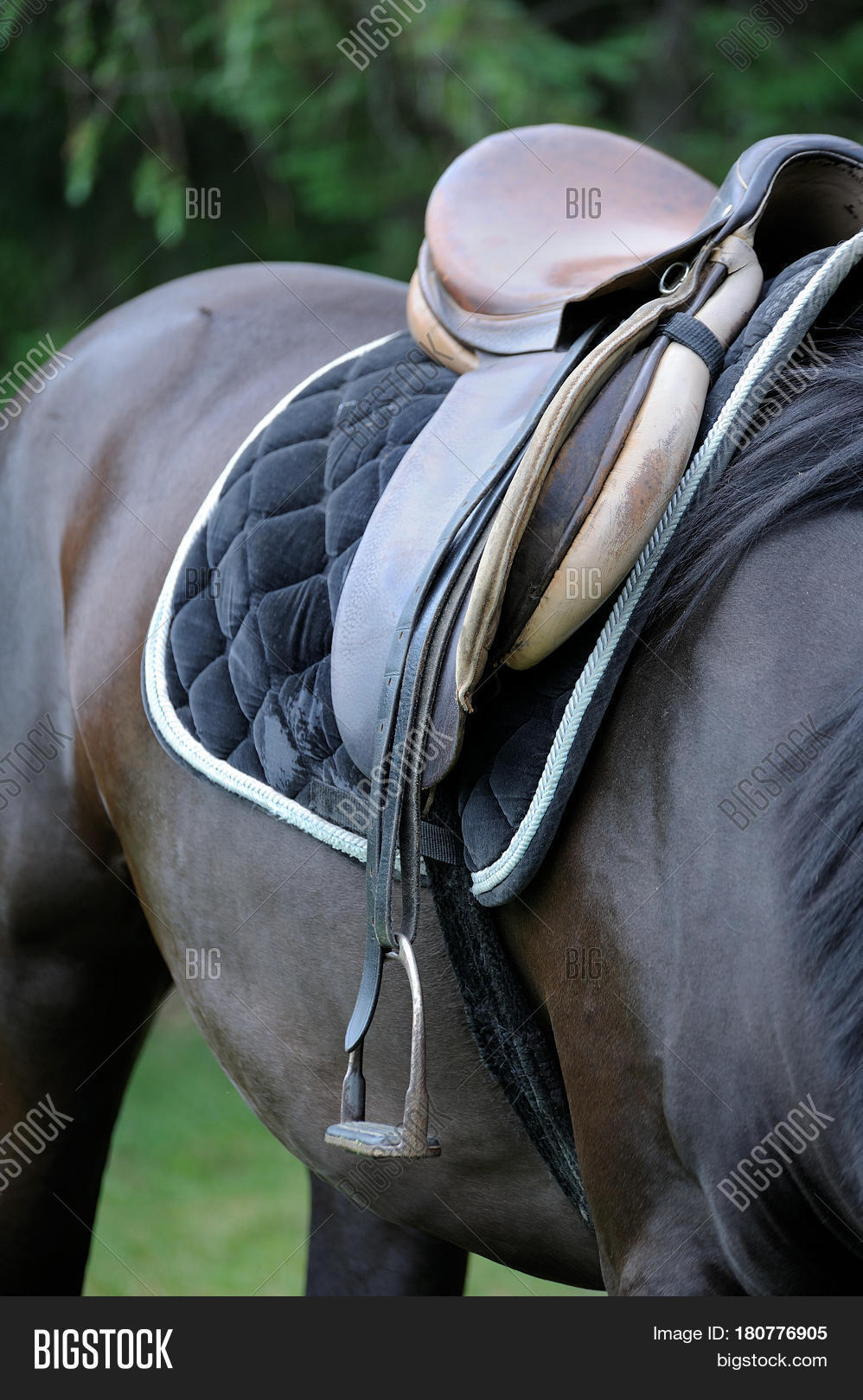 Saddle Stirrups On Image & Photo (Free Trial) Bigstock