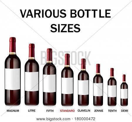 Different wine bottle sizes on white background